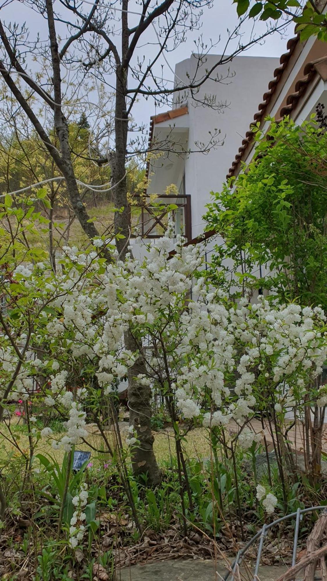 Saint Paul De Vence Villa Tamjang Szoba fotó